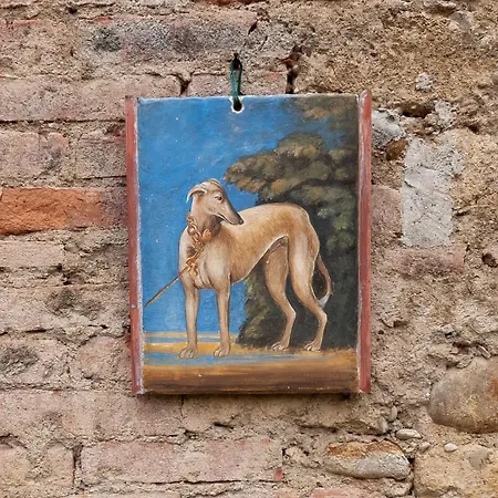Le Spugne In Tuscany Feriehus Montespertoli